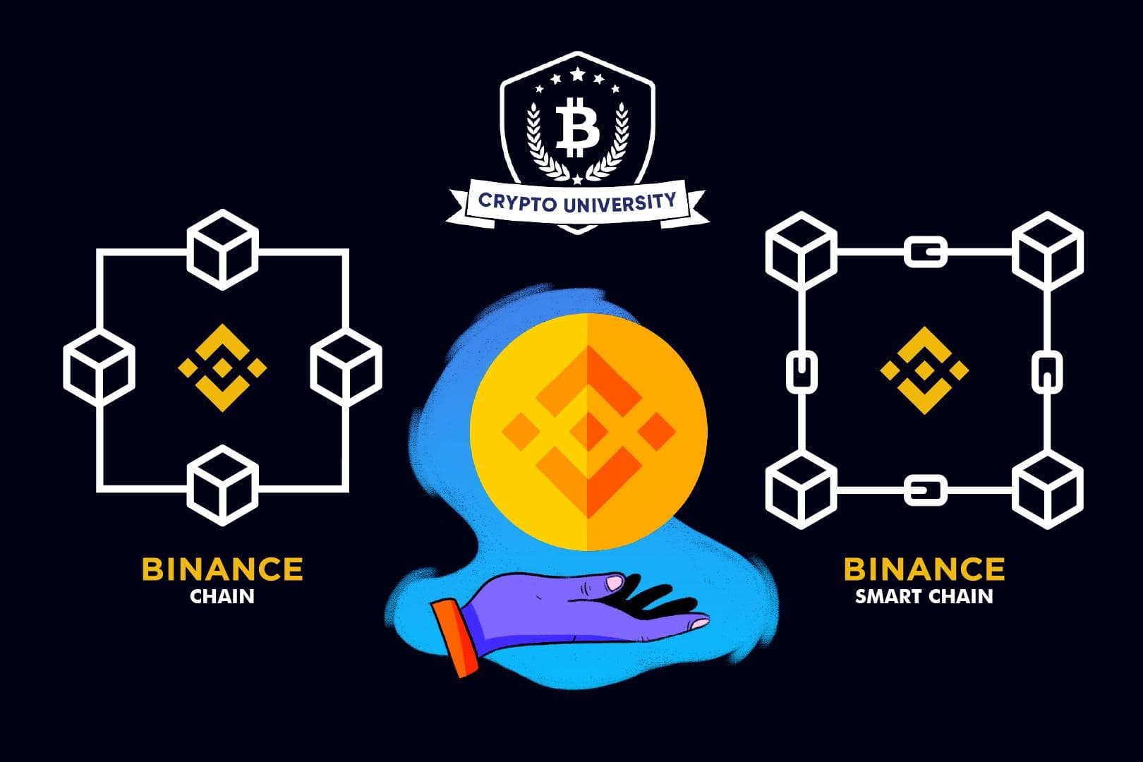 Binance Chain & Binance Smart Chain