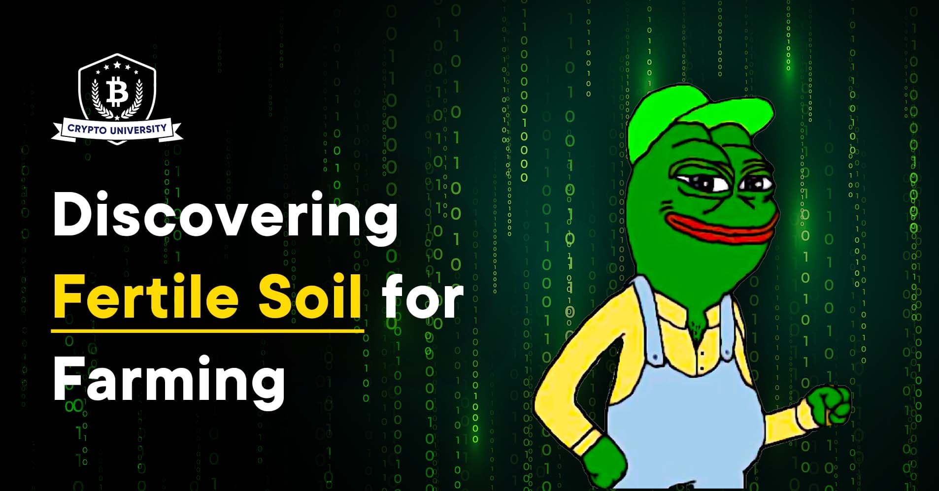 Where to find the best farms