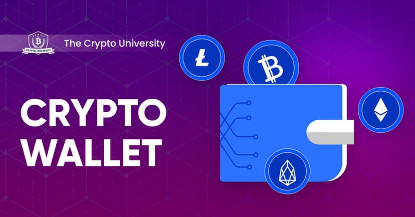 Step-by-Step Guide On How to Set Up a Crypto Wallet