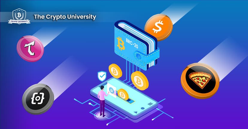 Top wallets for BRC-20 tokens.