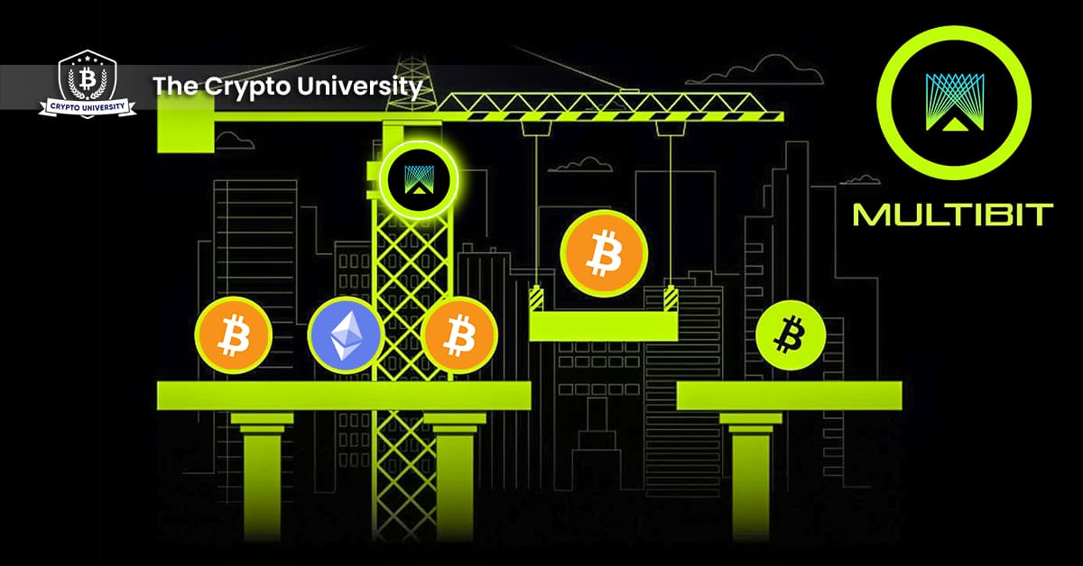 MultiBit: The first BRC20 token bridge.