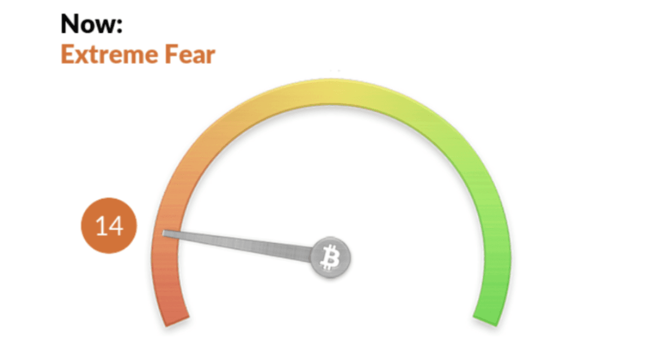The Bear Market Dashboard: Top 5 Indicators to Watch in a Crypto Winter